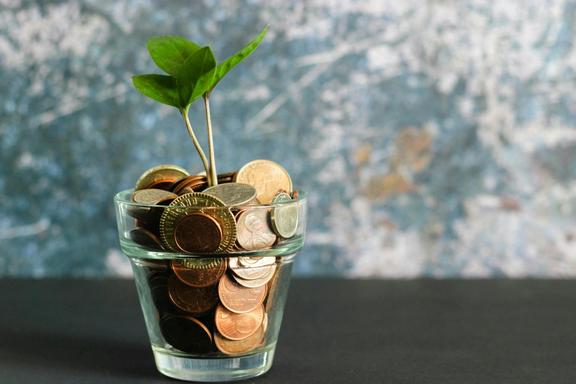 money growing out of a plantpot