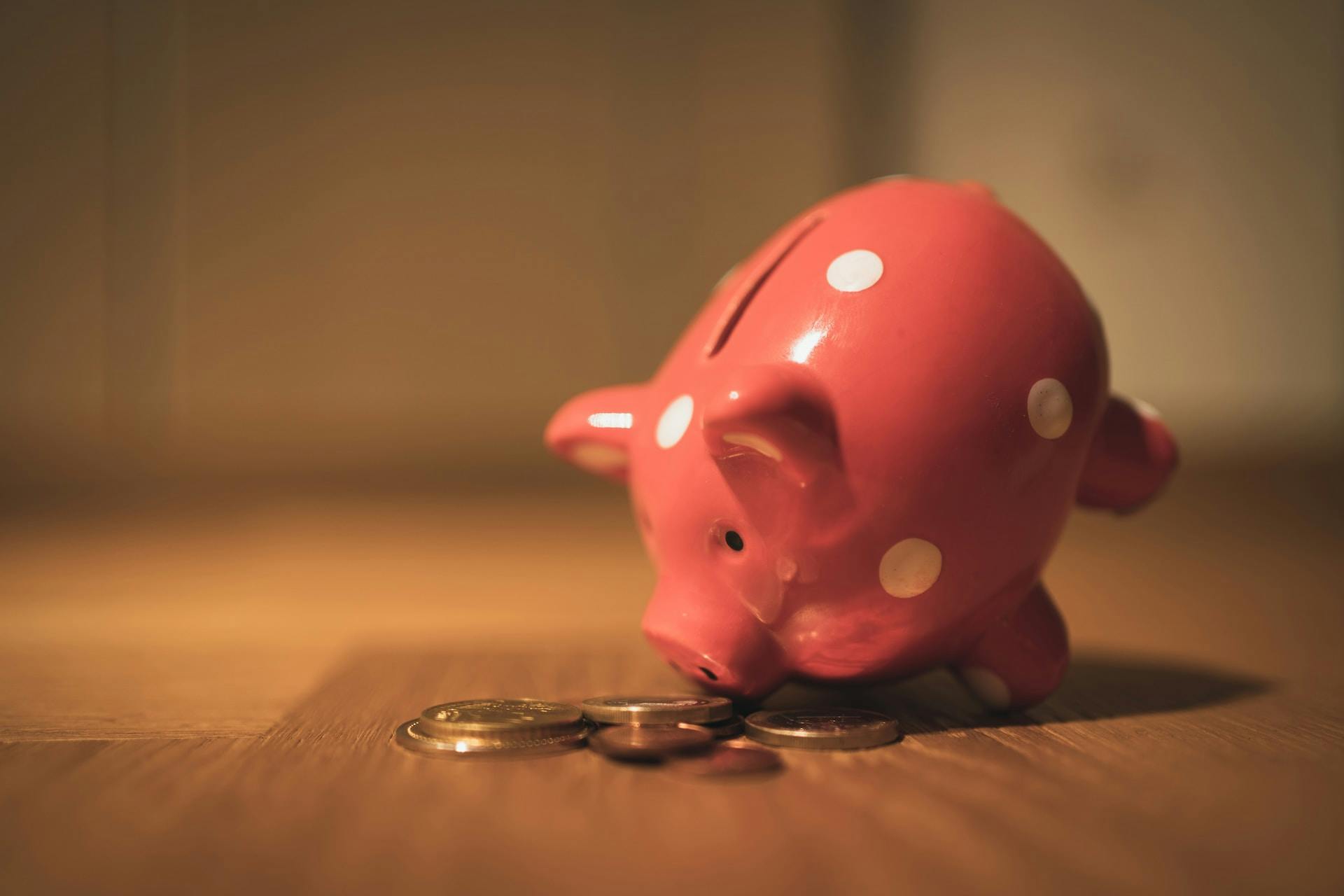 Piggy bank savings