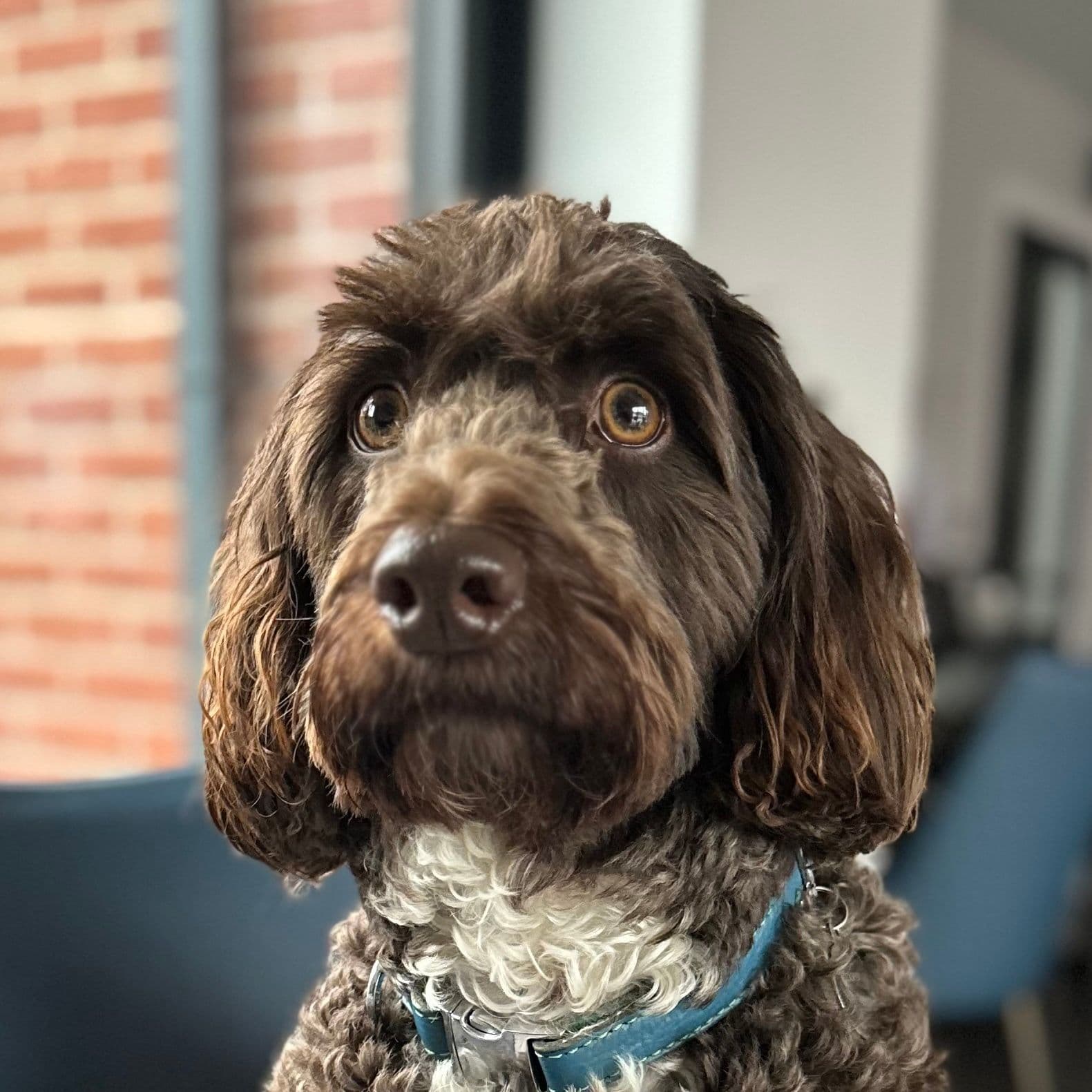 Cooper's profile photo